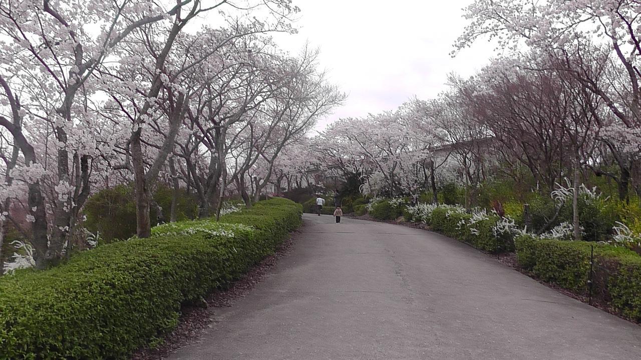 Nikkoen Hotel Nishiwaki Buitenkant foto